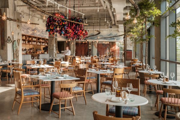  Cherry Blossom Festival: Visitor Guide