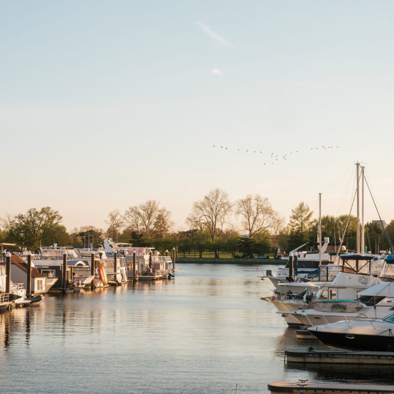 Seafood Restaurant in Washington DC