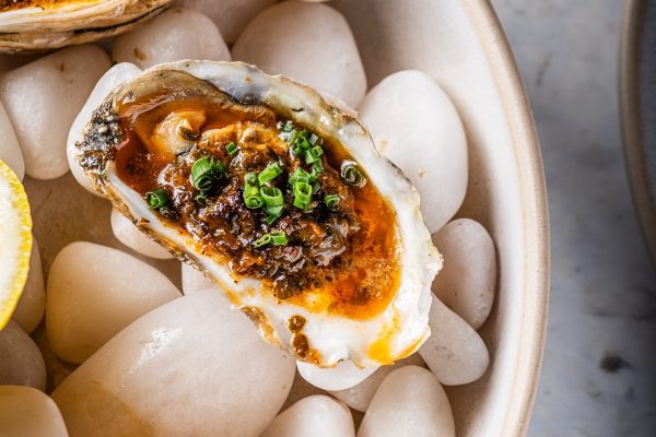 Celebrate Fish Shop's 1st Birthday